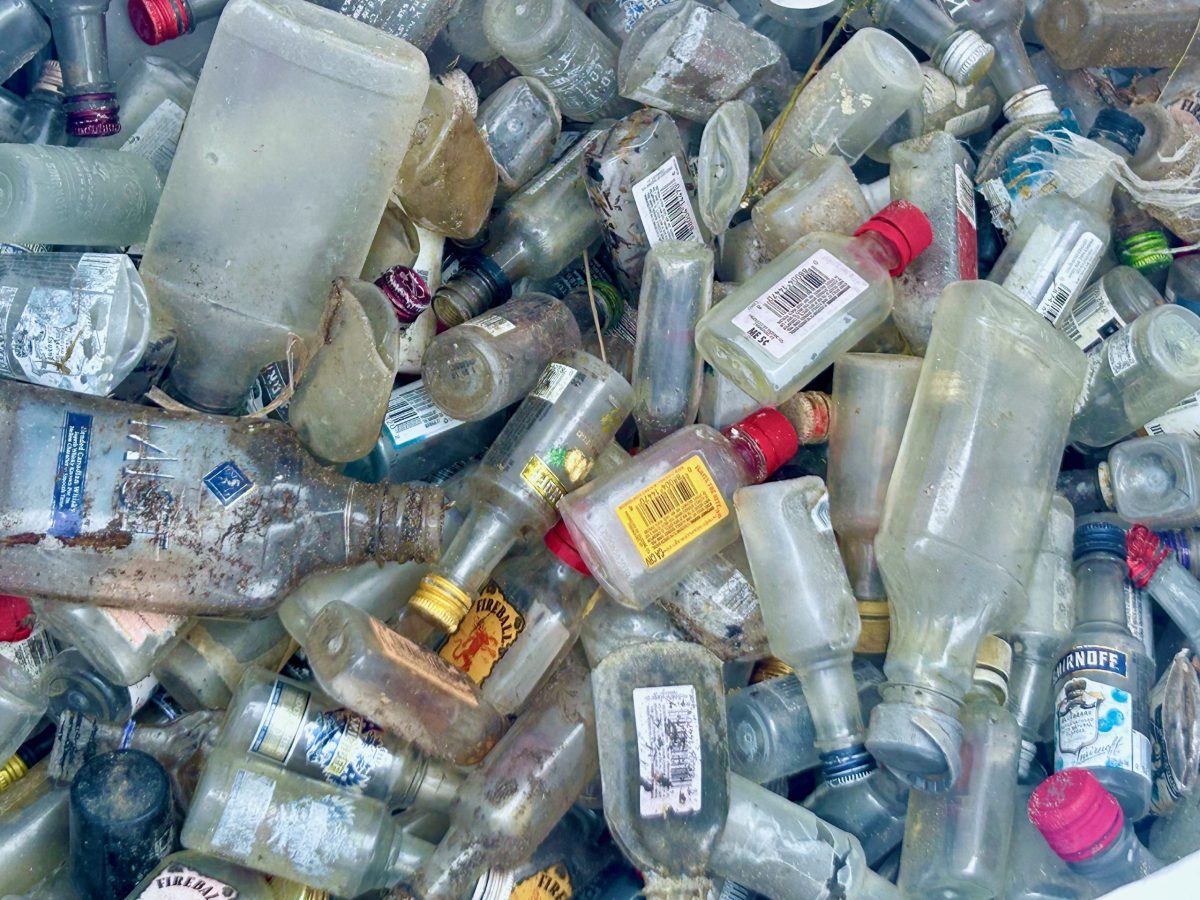 What happened to the nip ban?