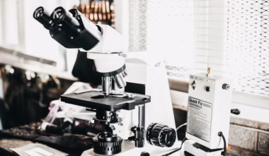 The Silent Potentials of the Hexapeptide GHRP‑6 in Biological Research Contexts