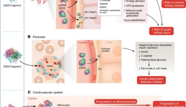 uPAR and its associated proteins induce multiorgan injury. Dysregulation of innate immunity caused by various physiological challenges, such as diabetes, hypertension, viral and bacterial infections, or smoking, leads to elevated suPAR levels and/or production of the D2D3 protein. Models illustrate the mechanisms through which these proteins cause injury to the kidney (A), pancreas (B), and cardiovascular system (C).