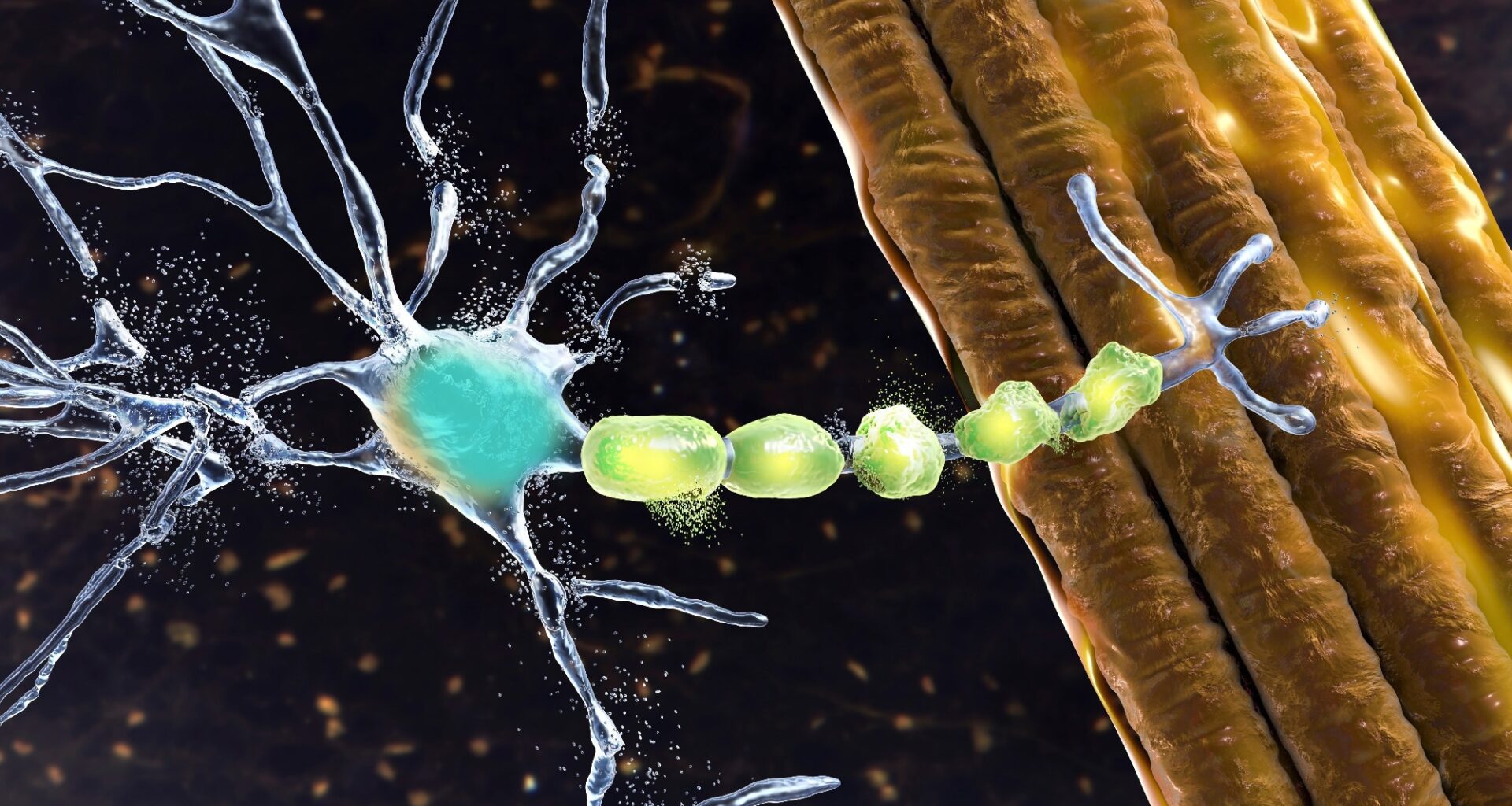 Study: Long-Term Exposure to Air Pollution and Risk and Prognosis of Motor Neuron Disease. Image Credit: Kateryna Kon / Shutterstock