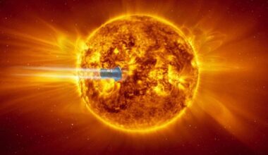 It Took 400,000 Mph To Get There, Here's What Nasa's Probe Found Near The Sun