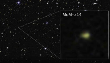 MoM-z14 James Webb Space Telescope