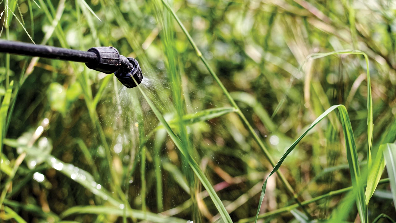 A liquid is sprayed through a nozzle onto blades of grass.