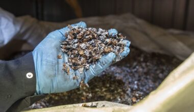 Canada Growth Fund invests $25-million in Ontario rare earths recycling company