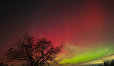 Northern lights put on dazzling display across the Maritimes - CTV News