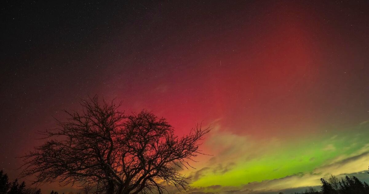 Northern lights put on dazzling display across the Maritimes - CTV News