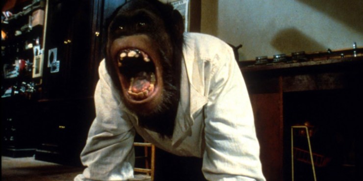 Link screams in rage in Link.