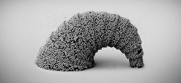 SEM images of a dangling croissant-shaped microstructure with a 3D curved surface assembled from SiO2 particles. Credit © MPI-IS