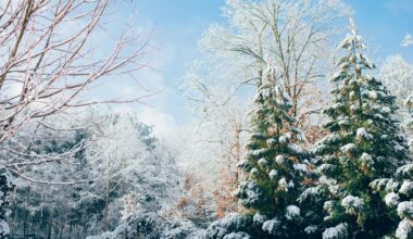 Only the Good Stuff: Multivitamins For Your Weekend {01.17.2026}