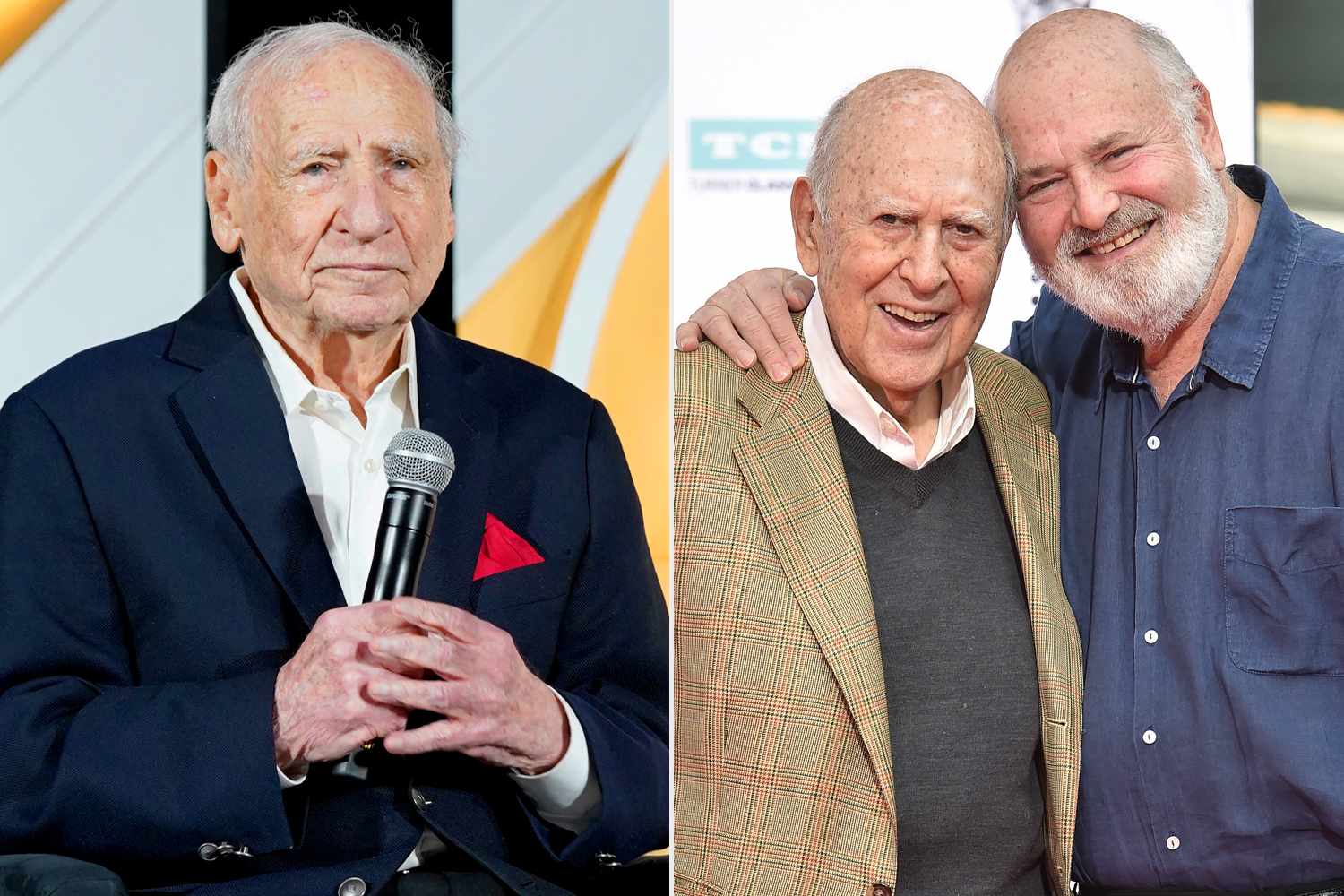 Carl Reiner 'Never Could Have Survived' Rob Reiner's Murder