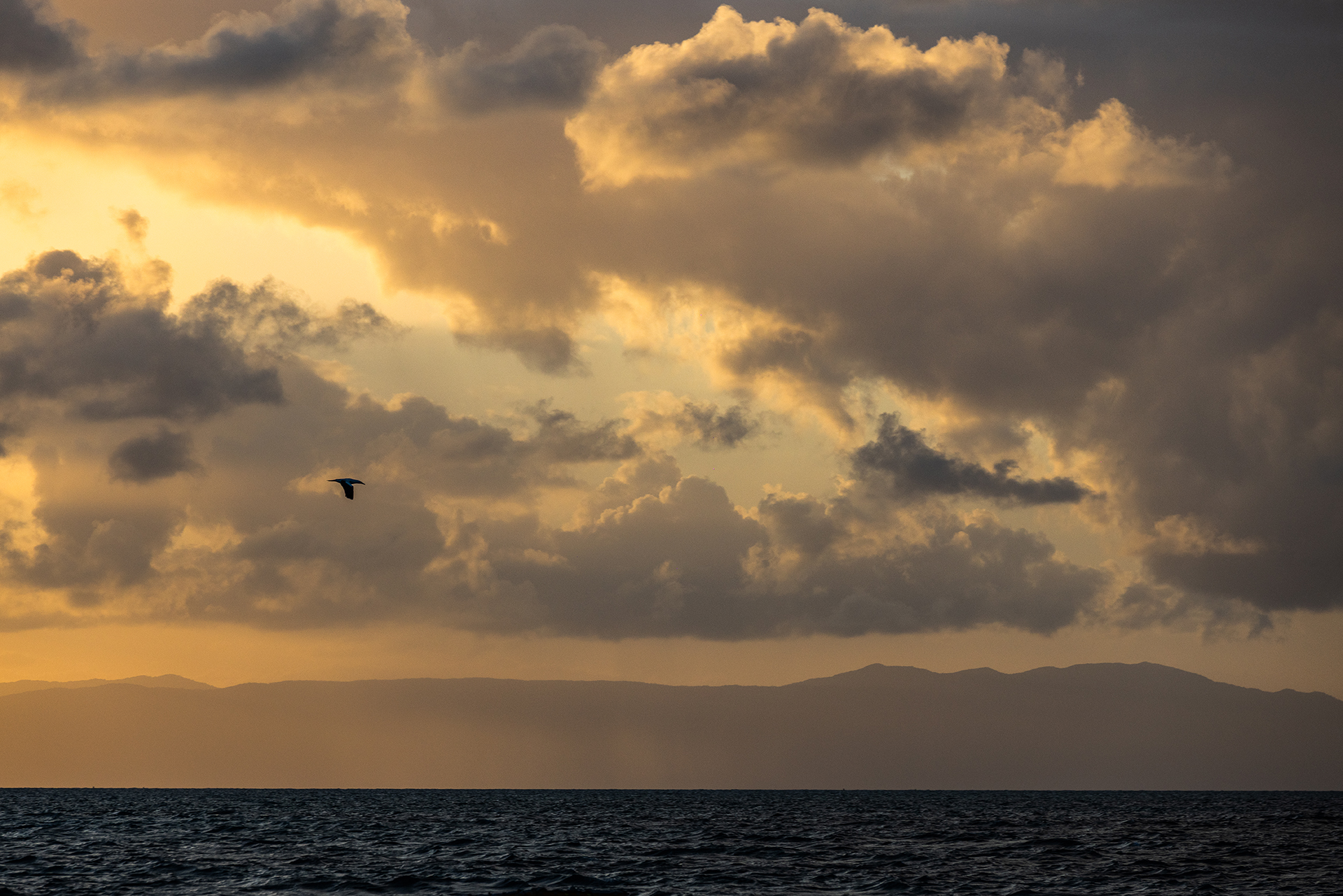 Sunset on a reef called Arlington offshore from Cairns.