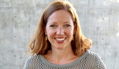 A hopefully intentionally unserious book on Taylor Swift and Sylvia Plath – The Irish Times