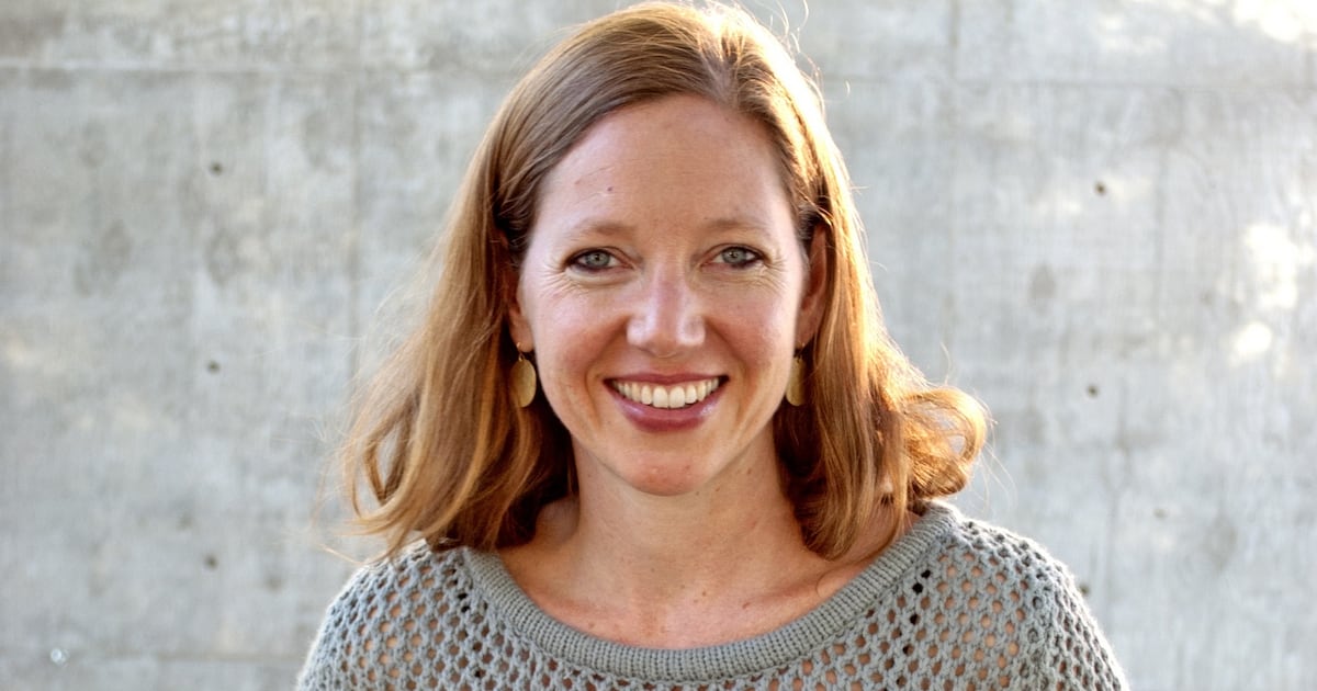 A hopefully intentionally unserious book on Taylor Swift and Sylvia Plath – The Irish Times