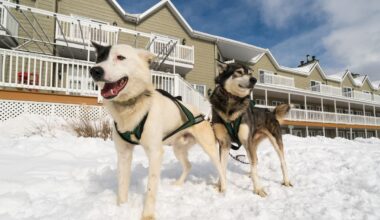 This rustic lodge two hours from Montreal is the place for true Quebec winter fun