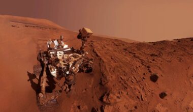 Nasa’s Curiosity Rover Just Found Something On Mars That Looks Exactly Like Coral