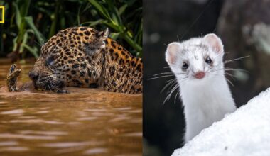 Nat Geo Photo Editor Reveals Favorite Images From Your Shot Challenge