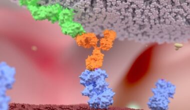 Recent advances in CAR-NK cell therapy could revolutionze cancer treatment