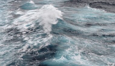 'Salty blob' in the deep ocean once controlled Earth’s climate