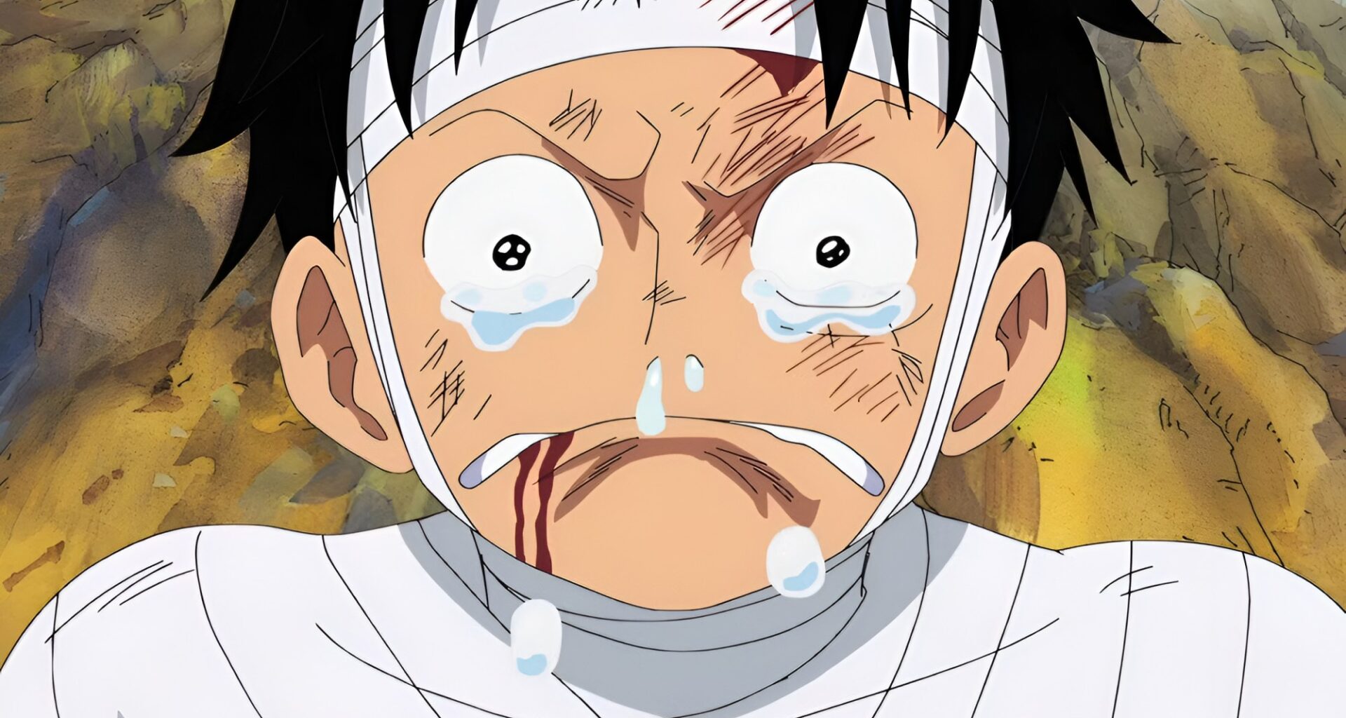 15 Years Ago, One Piece Aired Its Saddest Episode Ever
