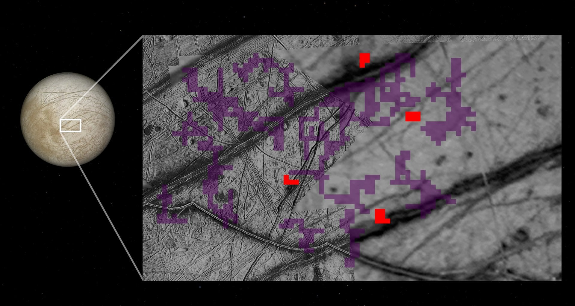 Red pixels mark places on Europa’s surface where ammonia-bearing compounds were detected by the Galileo spacecraft. Purple indicates no such detection. NASA/JPL-Caltech