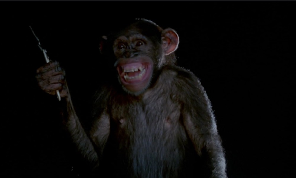 Killer Monkey Movies