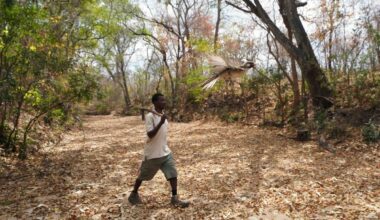 Yao honey-hunter from northern Mozambique, with a male greater honeyguide