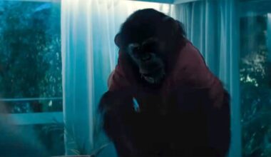 Killer Chimp Movie Is Jaws-Breakingly Familiar