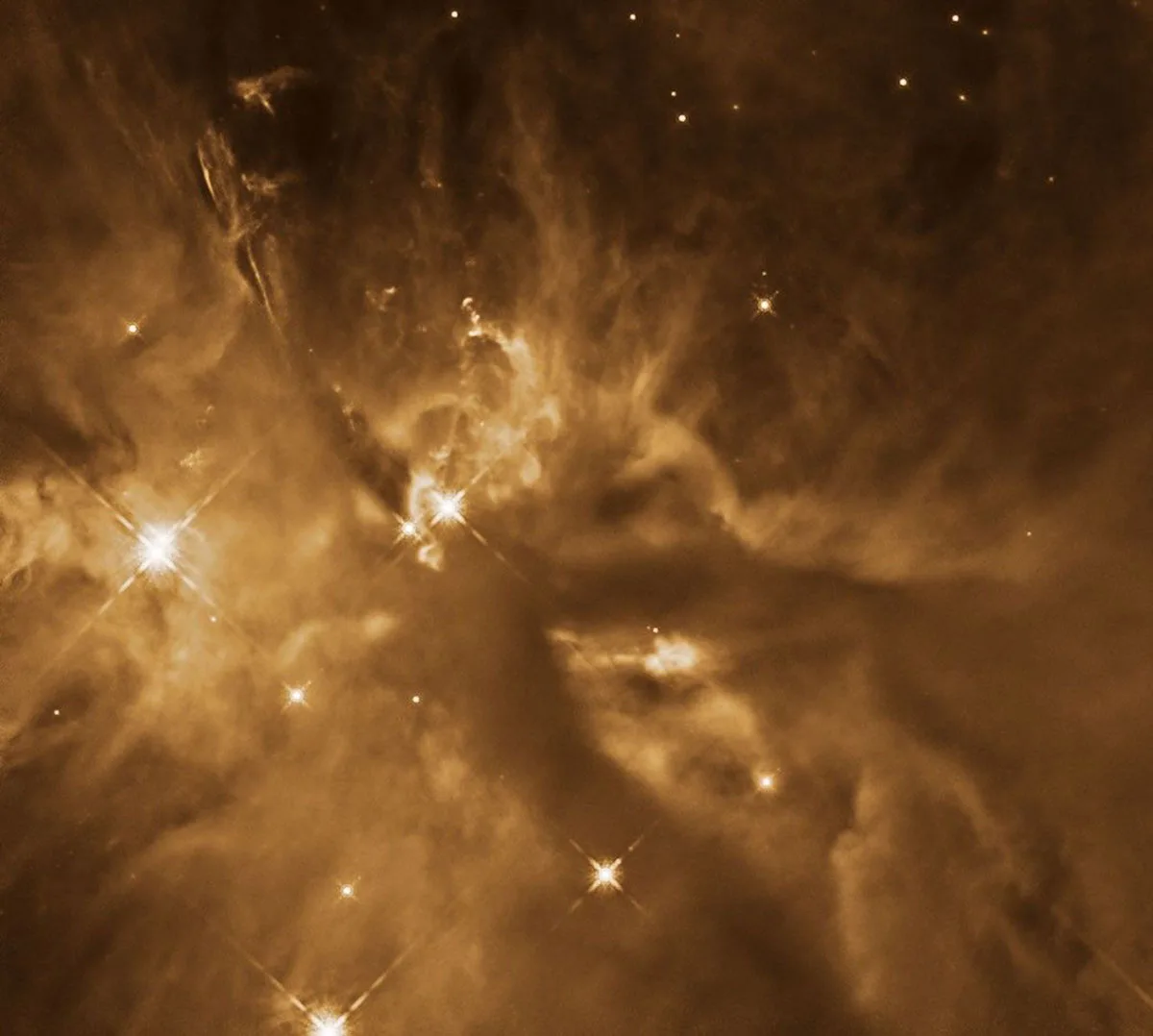 Protostar HOPS 181 in the Orion Molecular Cloud complex, as seen by the Hubble Space Telescope. Credit: NASA, ESA, and T. Megeath (University of Toledo); Processing: Gladys Kober (NASA/Catholic University of America)