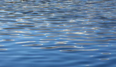 Light playing on water