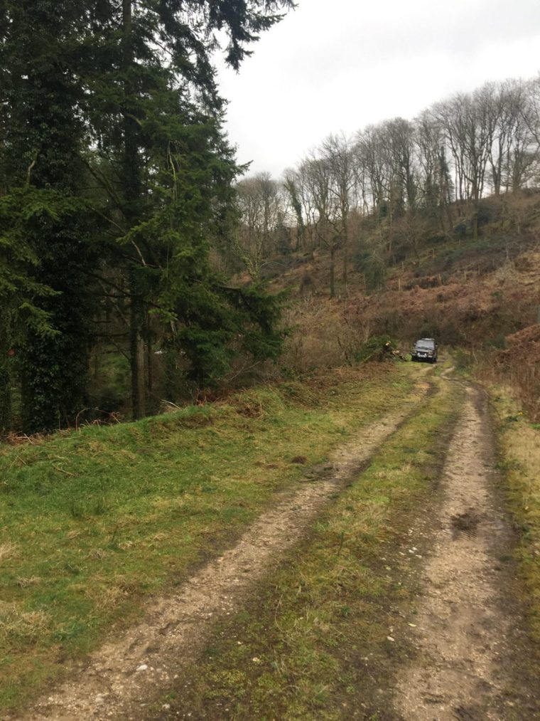 Barry Martin money case study