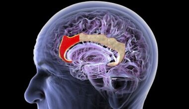 This Chinese Startup Wants to Build a New Brain-Computer Interface—No Implant Required