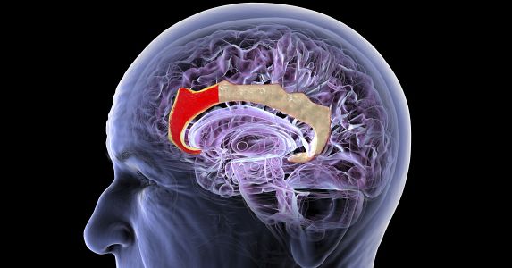 This Chinese Startup Wants to Build a New Brain-Computer Interface—No Implant Required