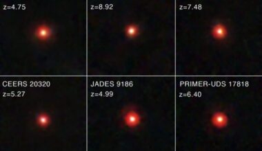 Compilation of images of the little red dots from the JWST