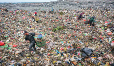 Plastics Crisis Intrudes on Paradise