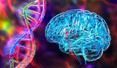 Several Psychiatric Disorders Share The Same Root Cause, Study Suggests : ScienceAlert