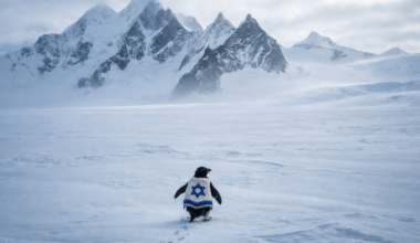 The Blogs: The Nihilist Penguin as a Metaphor for Israel | Adil Faouzi