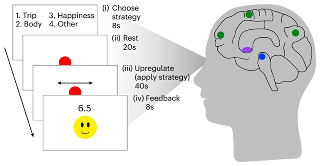 Mental training