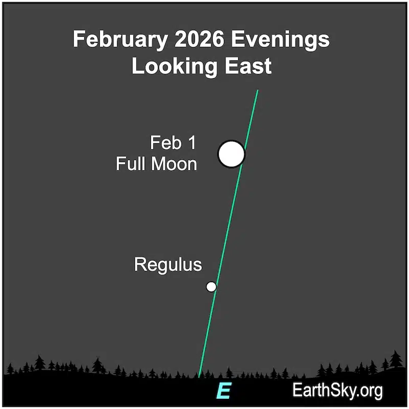 This Image Shows The Position Of The Full Moon Just Above Regulus During Moonrise On February 1, 2026.
