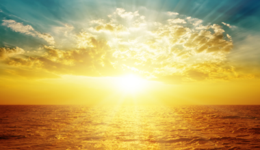 WMO confirms 2025 was one of warmest years on record