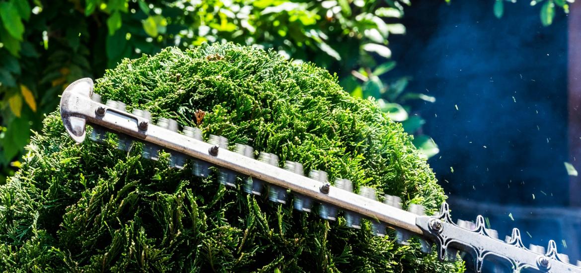 Pfizer trims its pan-KRAS efforts | ApexOnco