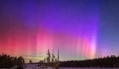 Northern lights deliver ‘intense display’ in skies over North America - CTV News