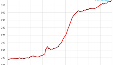 Food Inflation Gets Hot, but Not Every Item: A Look at Beef, Chicken, Coffee, Eggs, Dairy, Fruit & Vegetables, “Other Foods”
