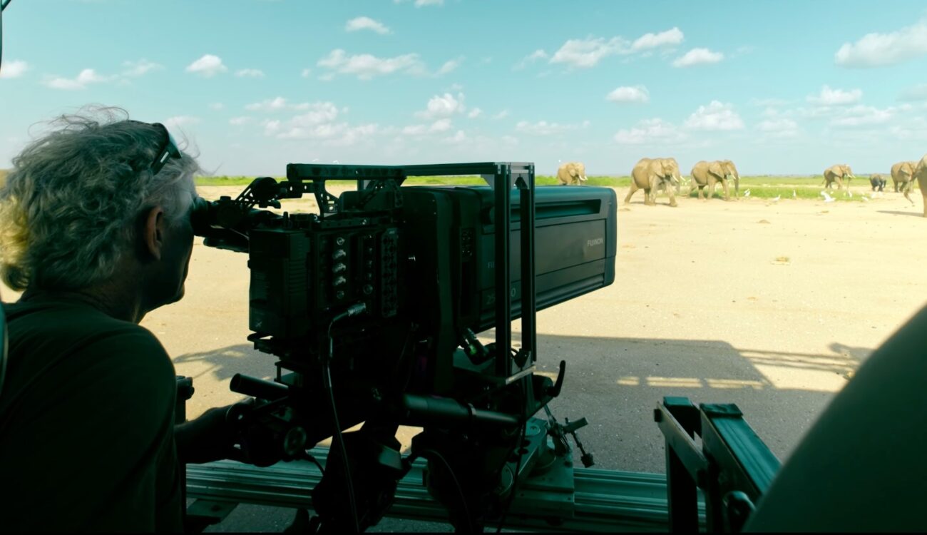 Cinematographer Bob Poole on Filming Elephants With FUJINON Duvo HZK25-1000mm – Respectful Wildlife Filmmaking