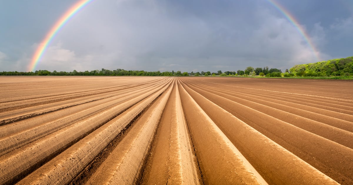 Why agtech start-ups failed last year – and a playbook for 2026