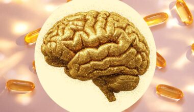 What Happens to Your Brain When You Take an Omega-3s