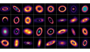 A collage of 32 glowing discs on a black background. Each disc shows concentric rings in vivid colours: purple, orange, and yellow, with bright cyan centres. The discs vary in size and orientation, creating a striking pattern of circular and elliptical shapes.