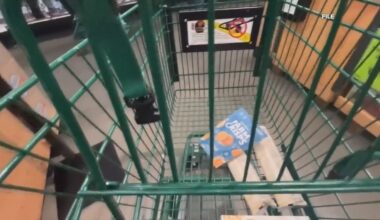 Study looks at using Instacart to make healthier choices