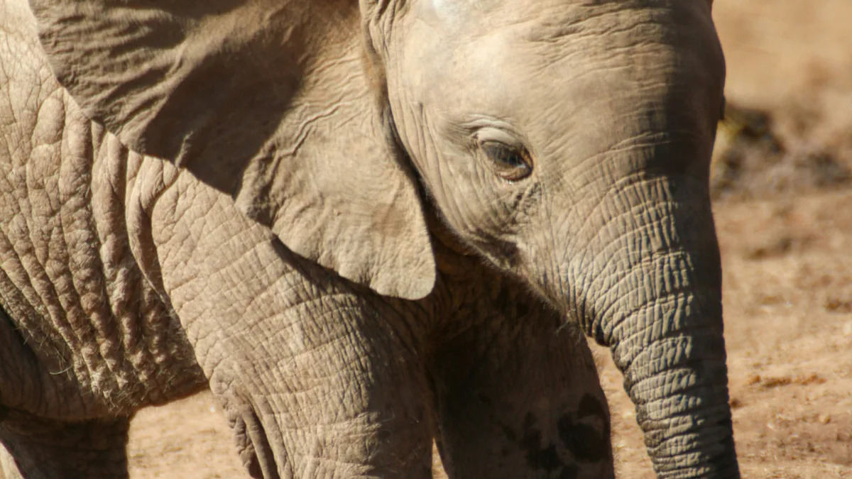 Yahoo lifestyle home