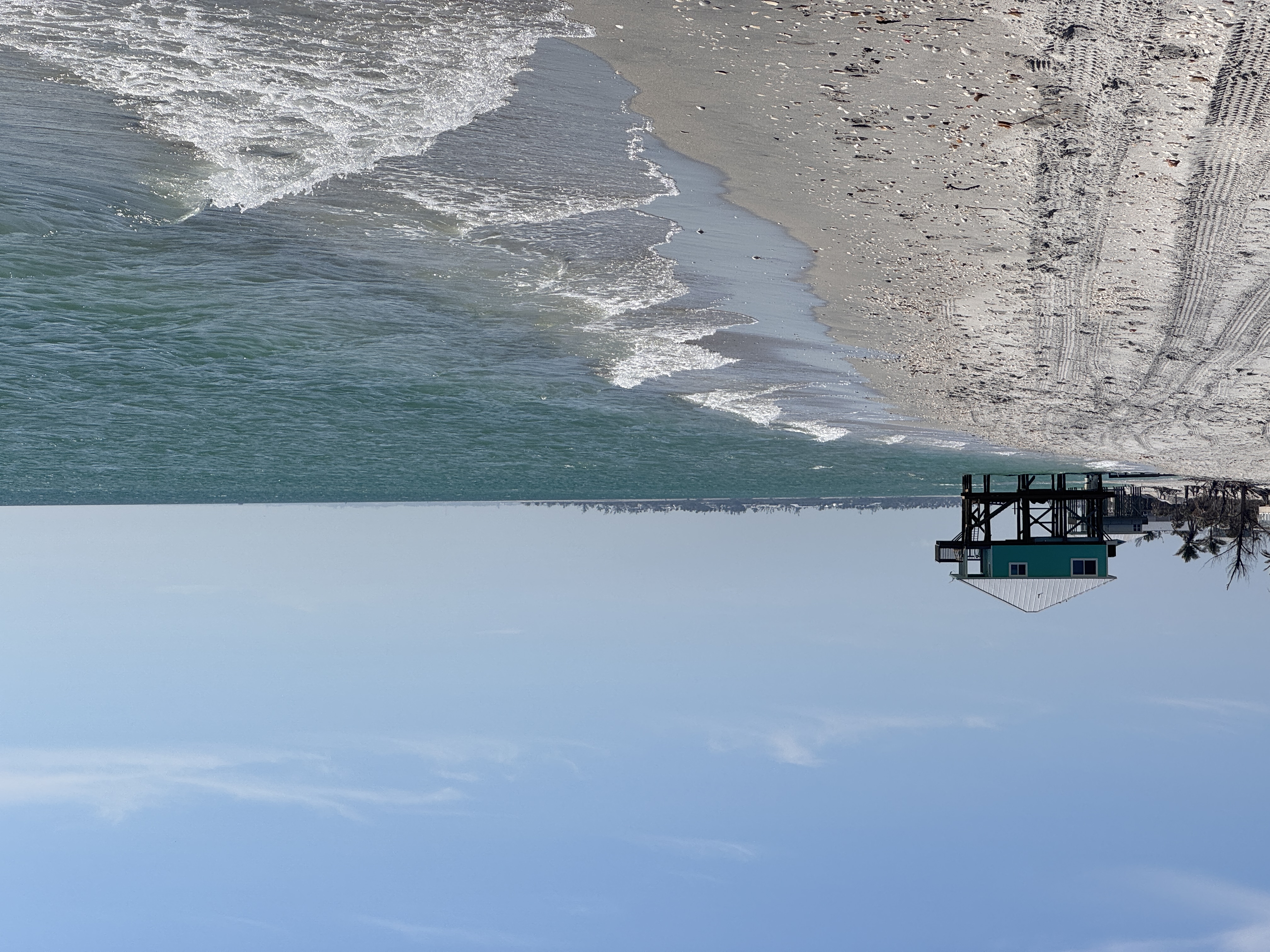 Images AI edited with VSCO AI Labs