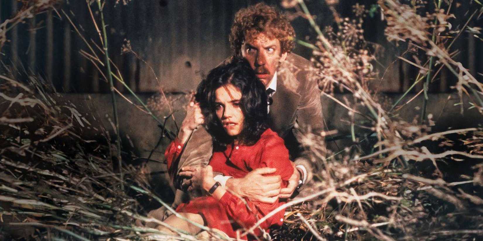Brooke Adams and Donald Sutherland hiding in the weeds in Invasion of The Body Snatchers, 1978.